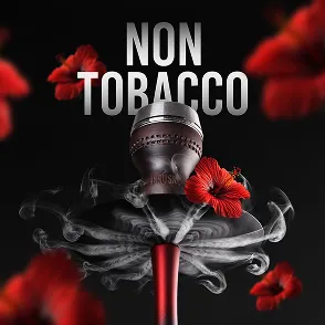 Бестабачные смеси (NON TOBACCO)
